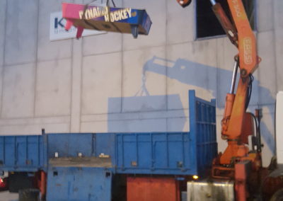 Camión grua para obras