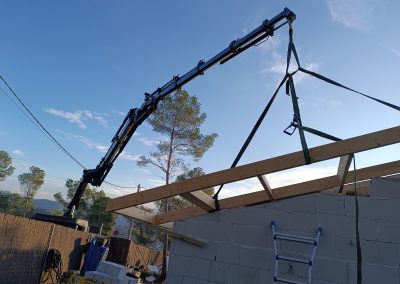 Servicios de transporte camión pluma